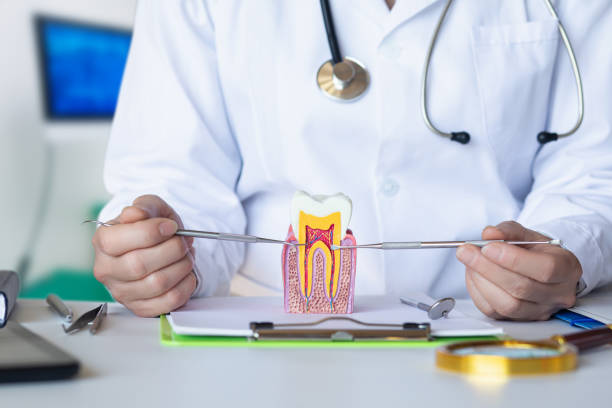 Best Emergency Dental Extractions in Maud, TX